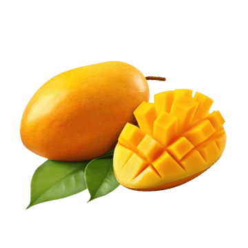 Mangue